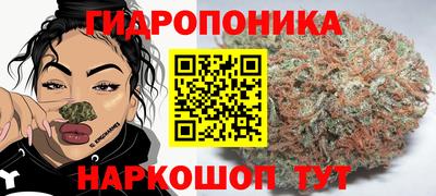 МДПВ Донской