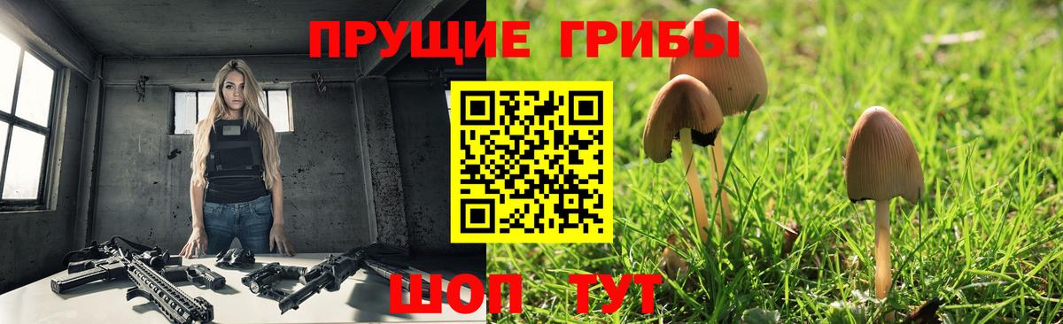 Галлюциногенные грибы Cubensis Урюпинск